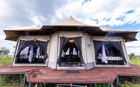 Serengeti Wildebeest Camp